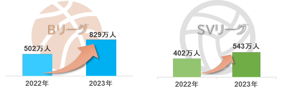 BリーグとSVリーグの チームを応援しているファン人口が増加のグラフ